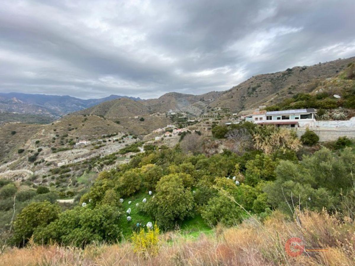 For sale of rural property in Almuñécar