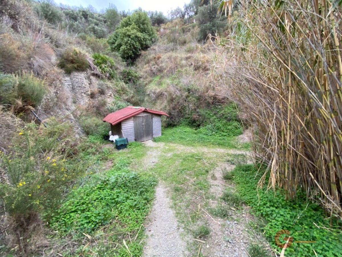 For sale of rural property in Almuñécar