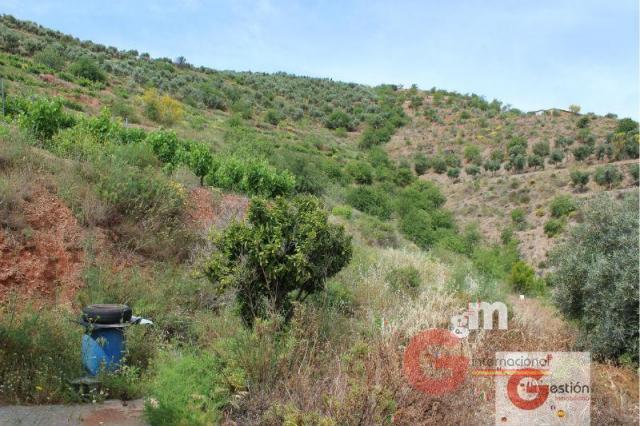 Venta de finca rústica en Vélez de Benaudalla