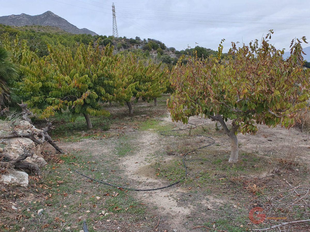 Venta de finca rústica en Molvízar