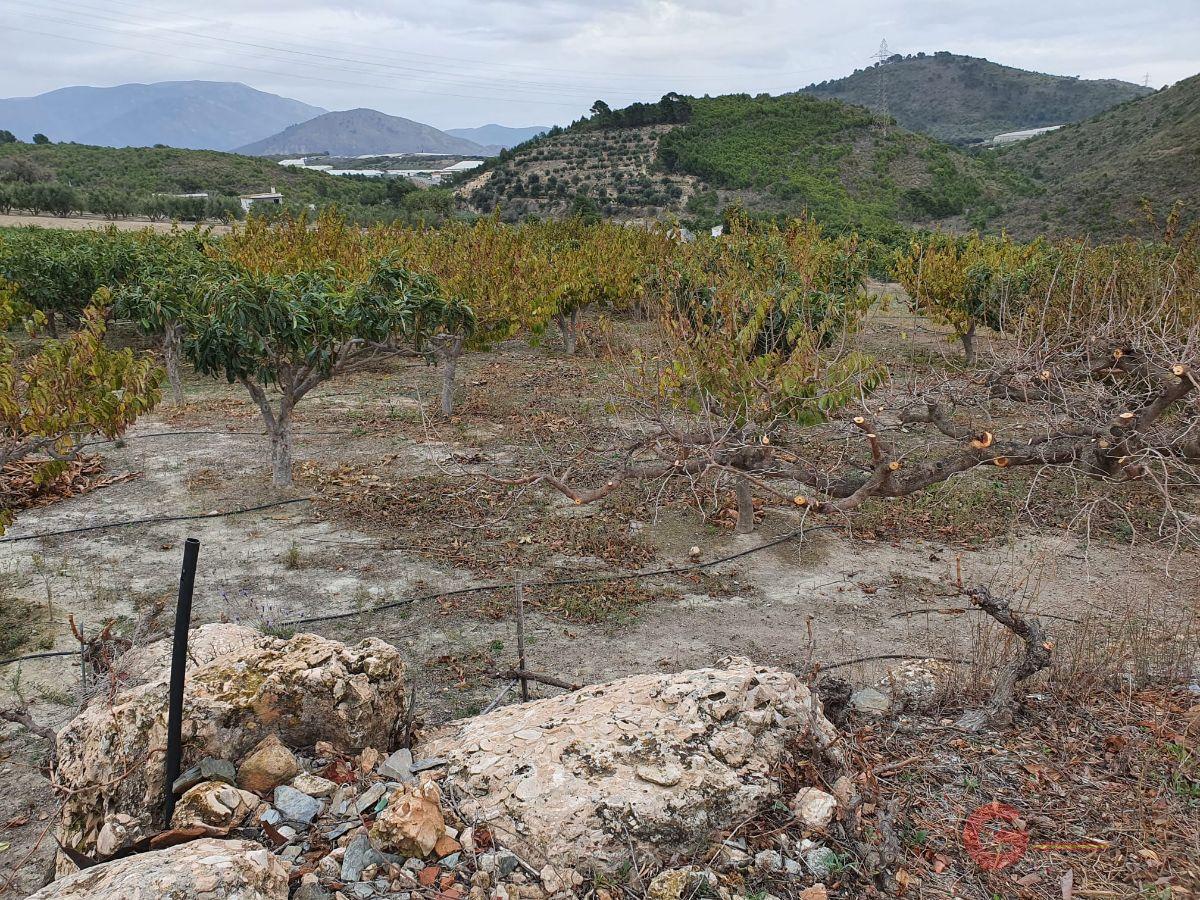 Venta de finca rústica en Molvízar