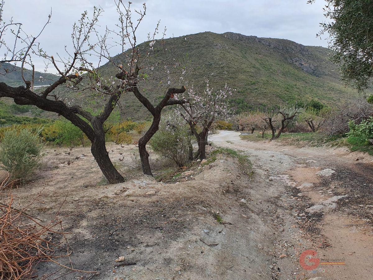 For sale of rural property in Molvízar