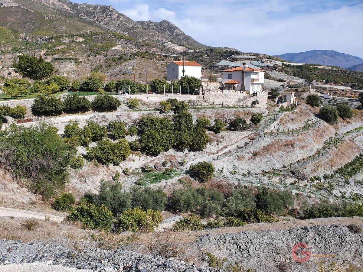 For sale of rural property in Molvízar