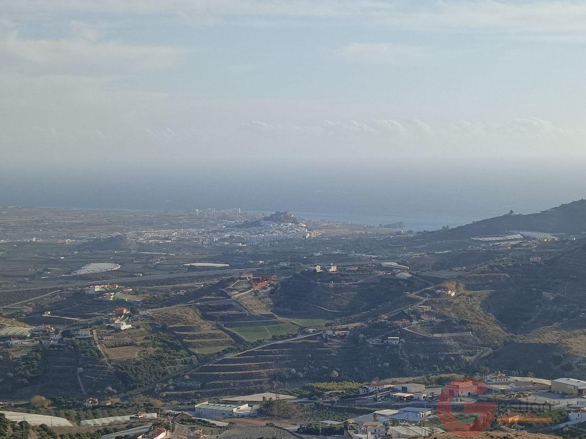 Venta de finca rústica en Molvízar Venta de finca rústica en Molvízar