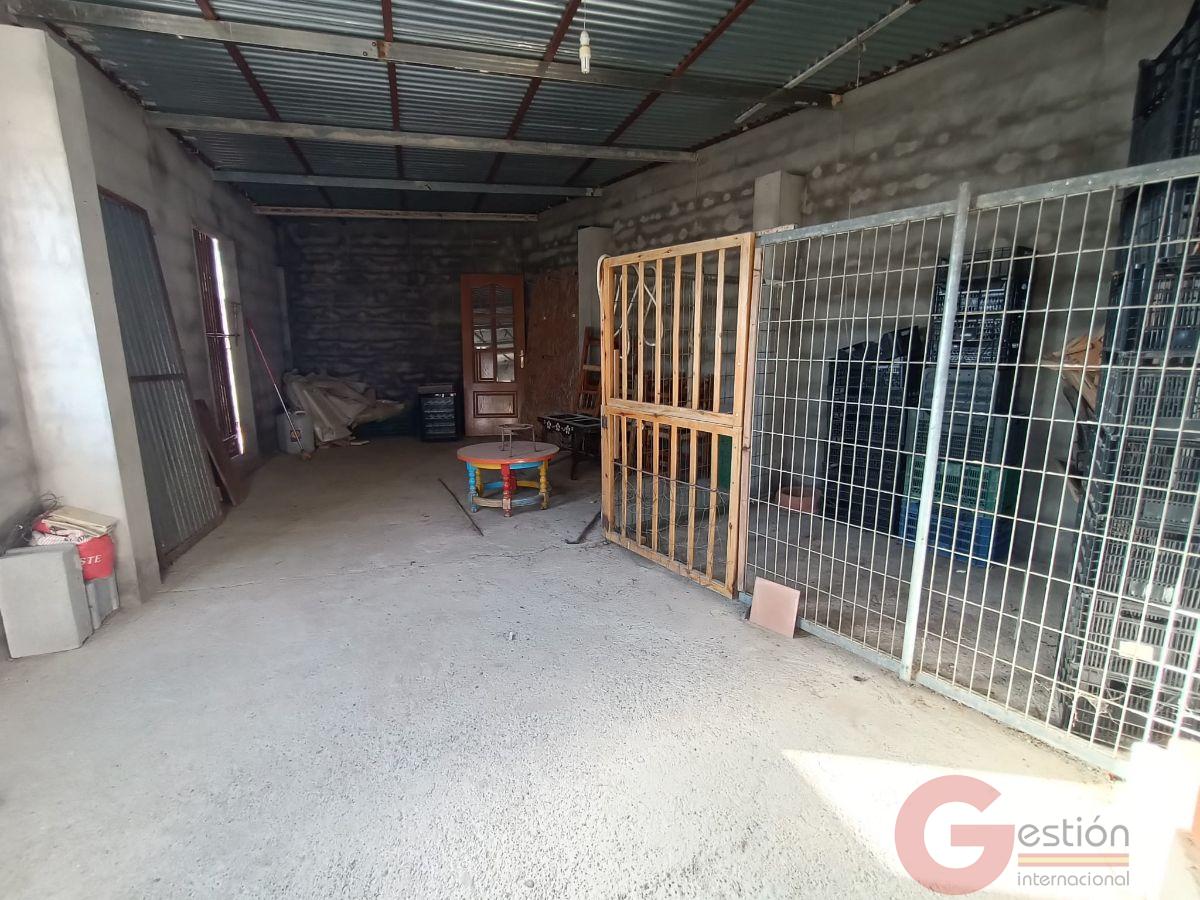 Venta de finca rústica en Molvízar Venta de finca rústica en Molvízar