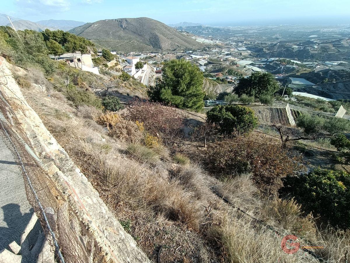 Vendita di proprietà rurale in Molvízar