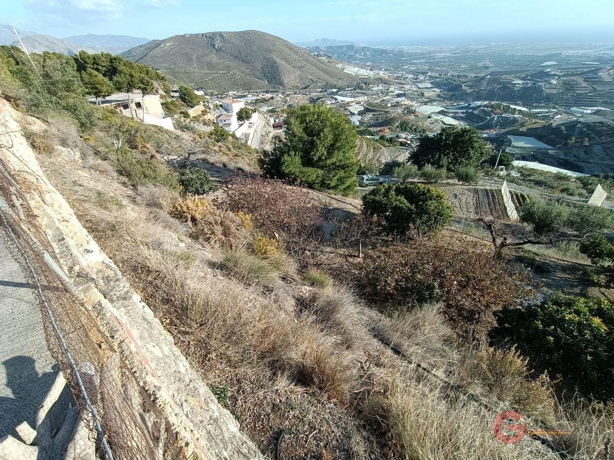 Venta de finca rústica en Molvízar