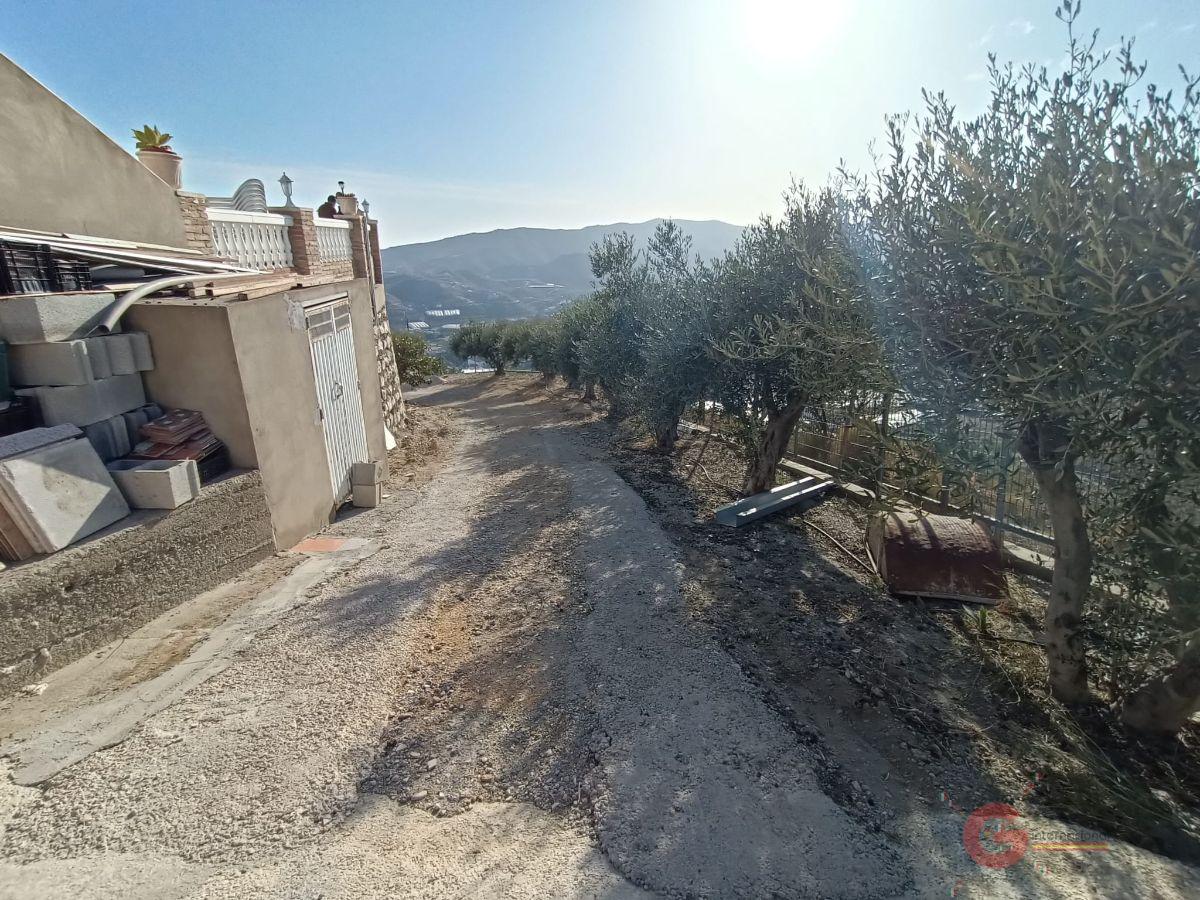 Vendita di proprietà rurale in Molvízar