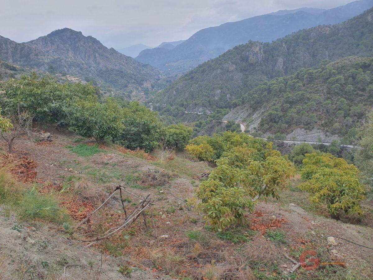 Venta de finca rústica en Guájar Alto