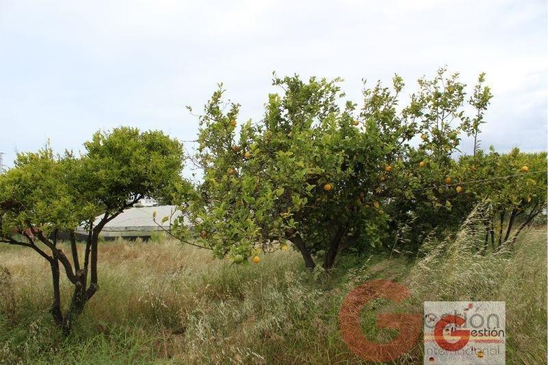 Venta de finca rústica en Motril