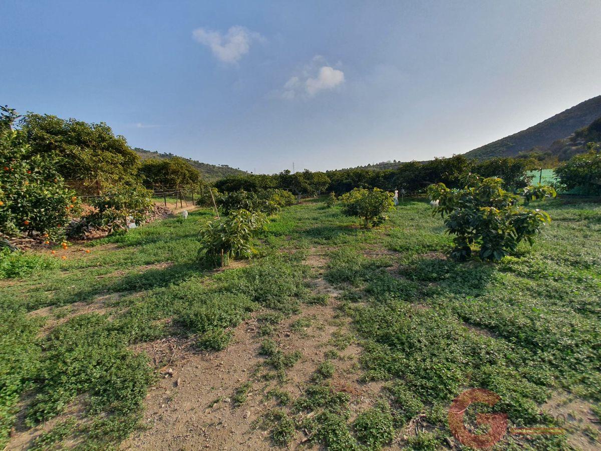 Venta de finca rústica en Molvízar