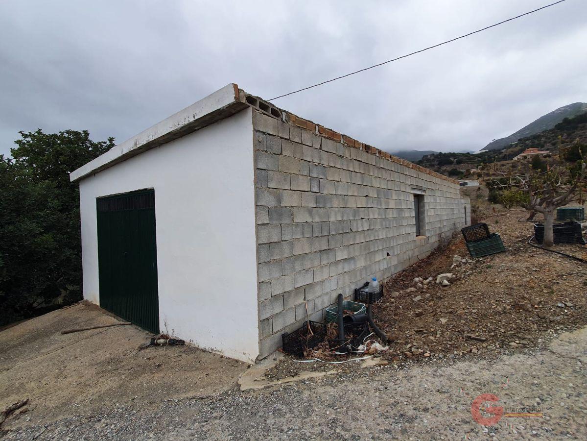 Venta de finca rústica en Itrabo