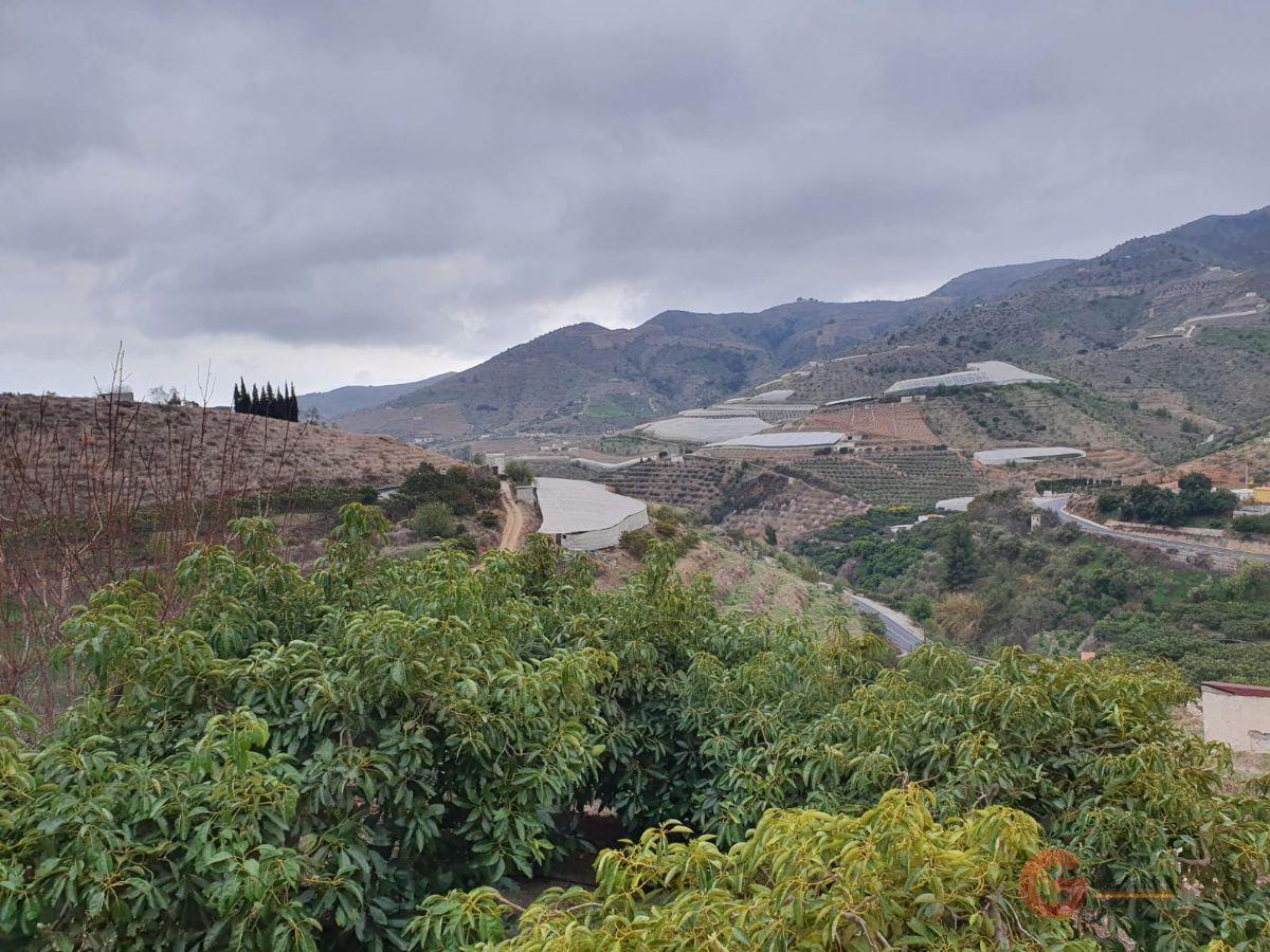 Venta de finca rústica en Itrabo