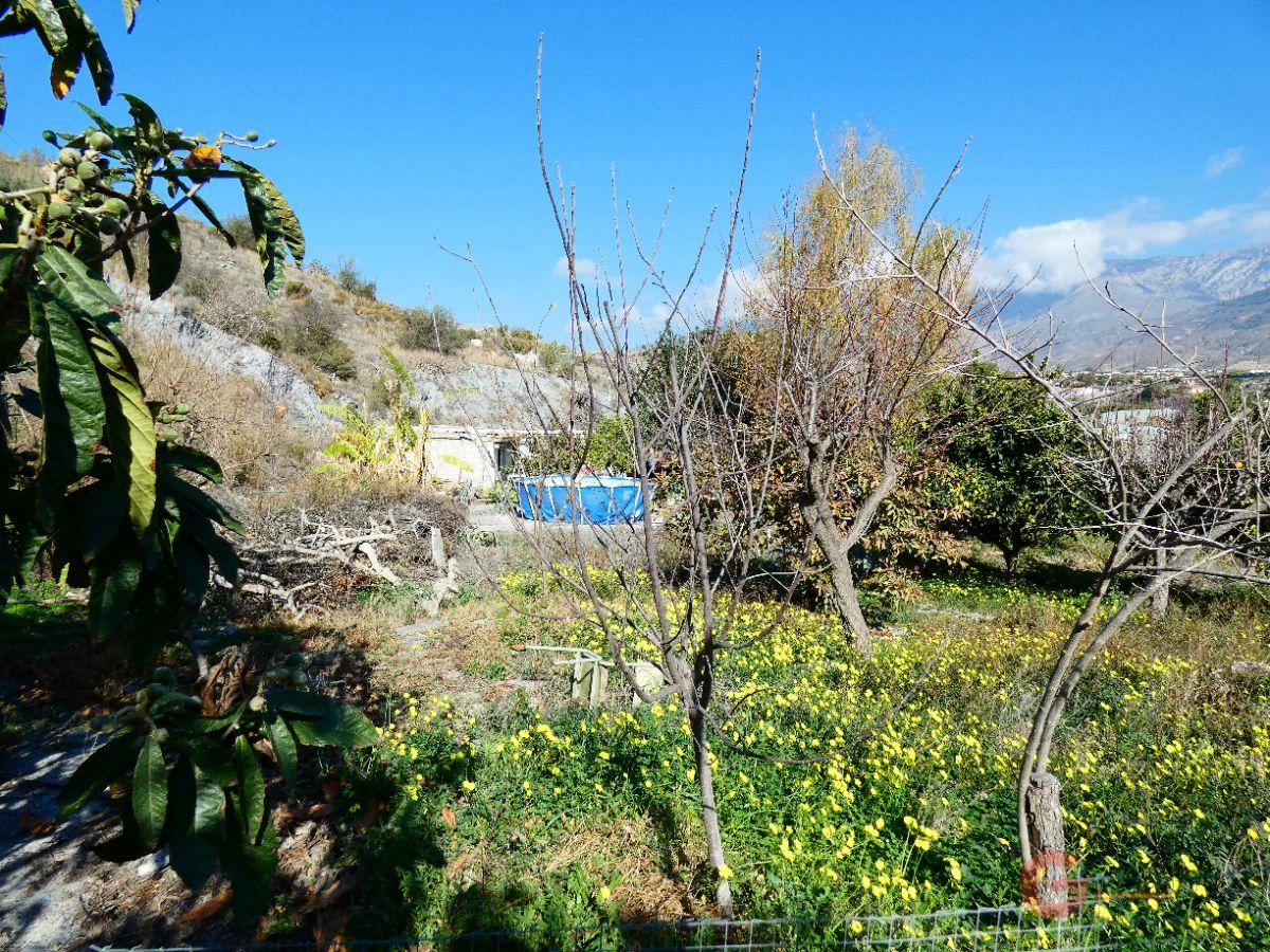 Vente de propriété rurale dans Motril