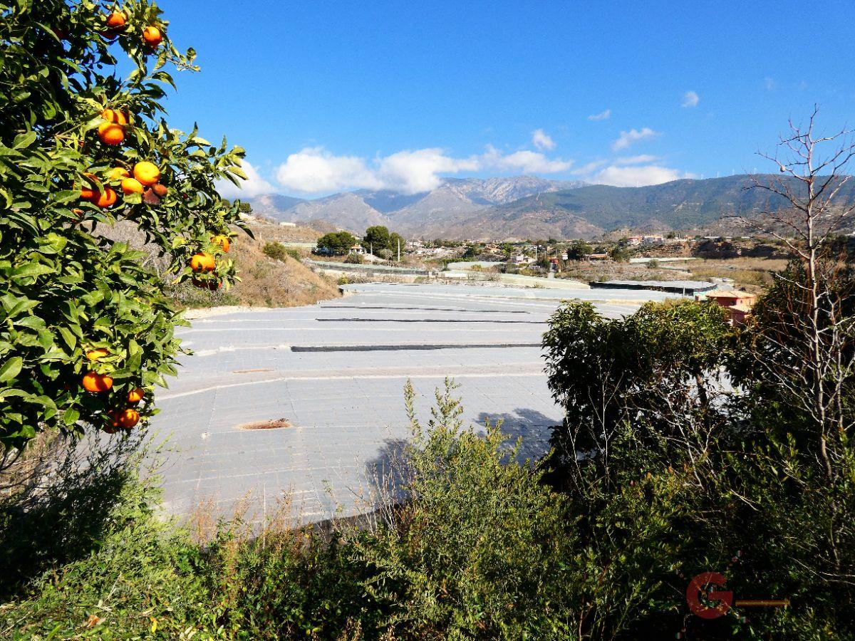 For sale of rural property in Motril