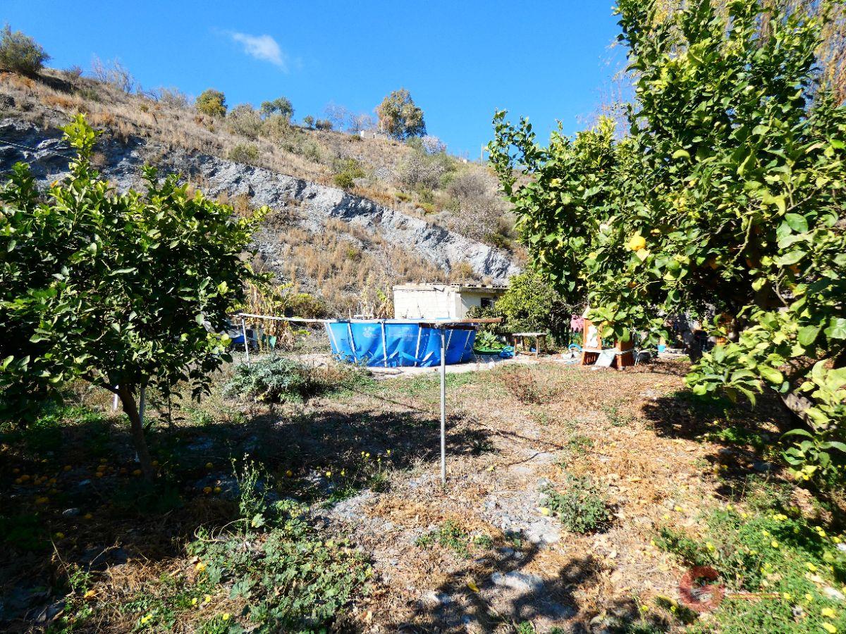 For sale of rural property in Motril