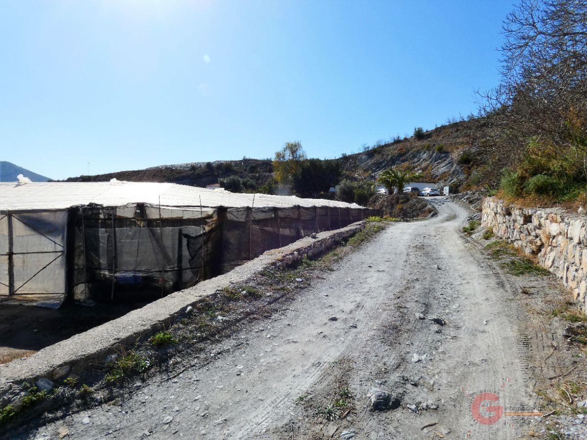 For sale of rural property in Motril