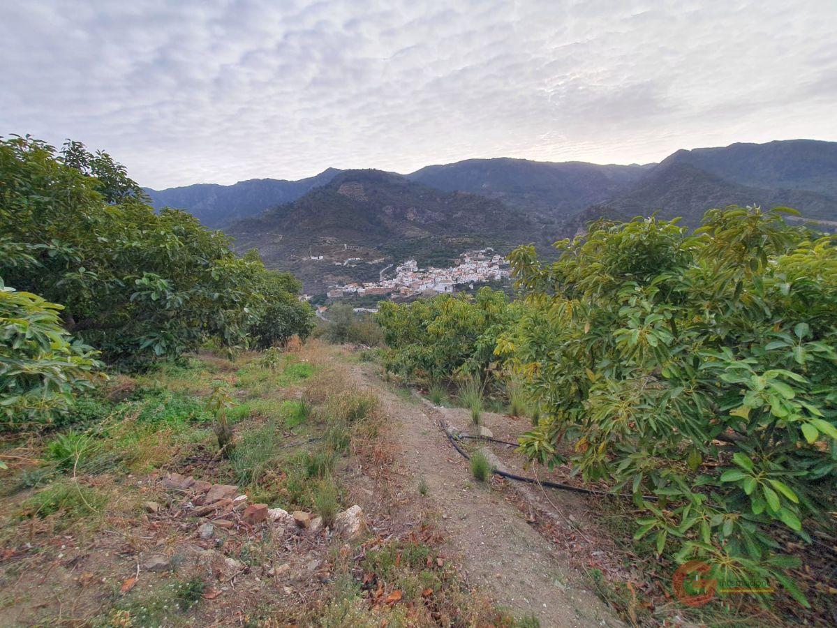 Vente de propriété rurale dans Guájar Faragüit