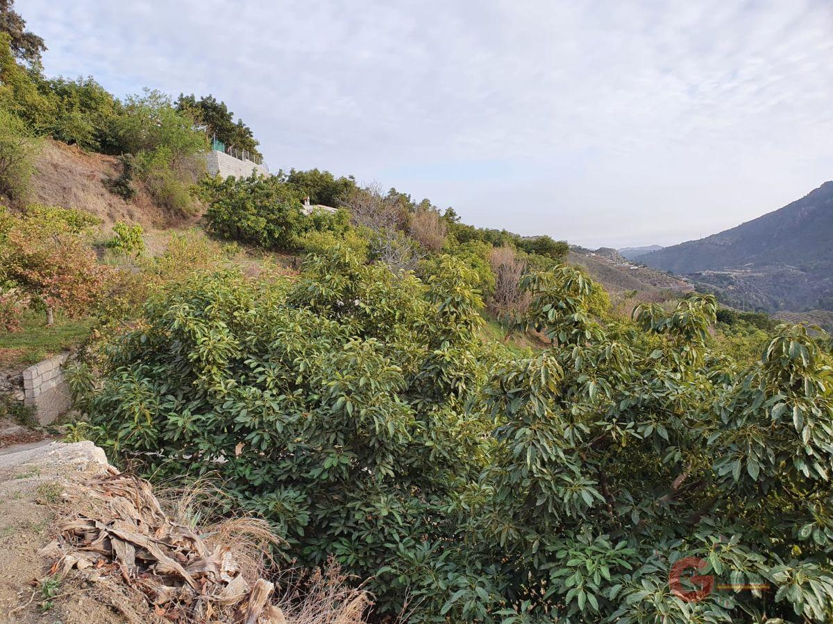 Vente de propriété rurale dans Guájar Faragüit