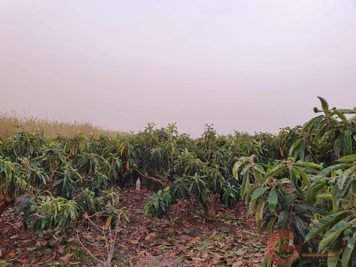 Vente de propriété rurale dans Salobreña