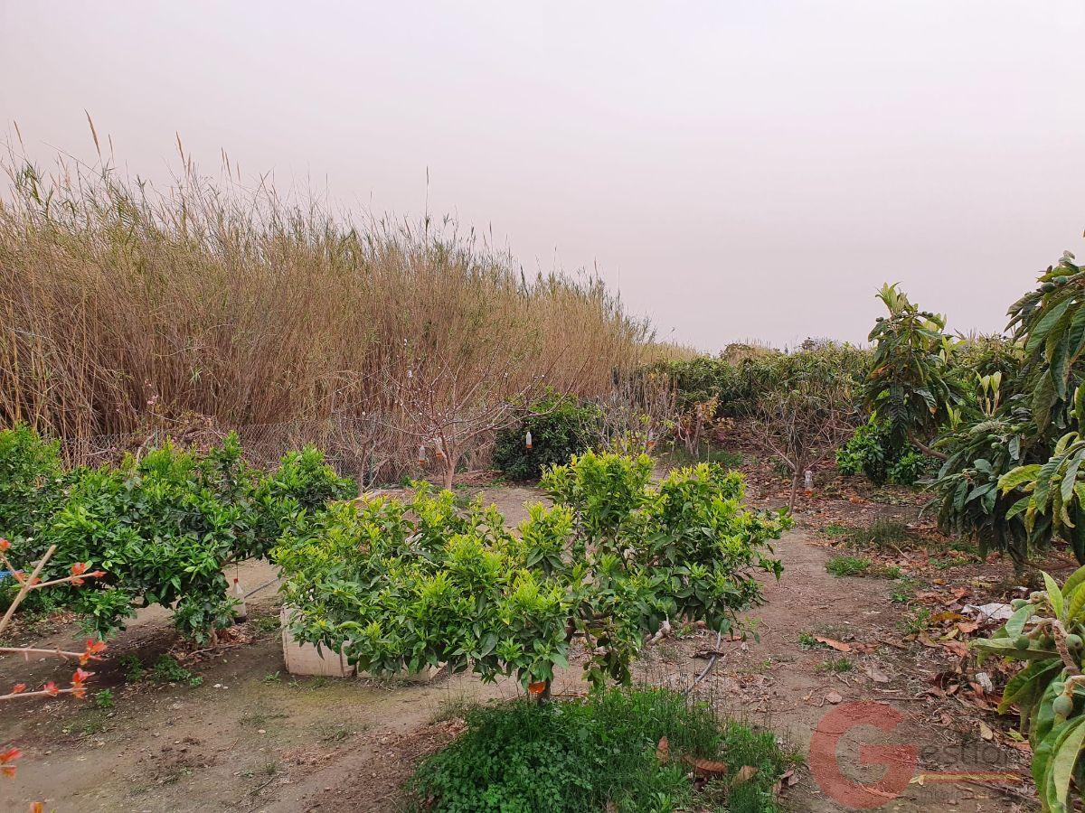 Vente de propriété rurale dans Salobreña