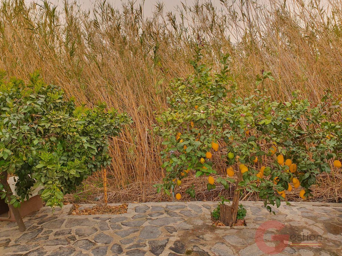 Vente de propriété rurale dans Salobreña