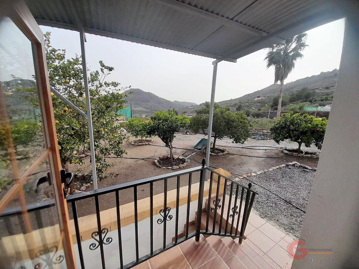 For sale of rural property in Vélez de Benaudalla
