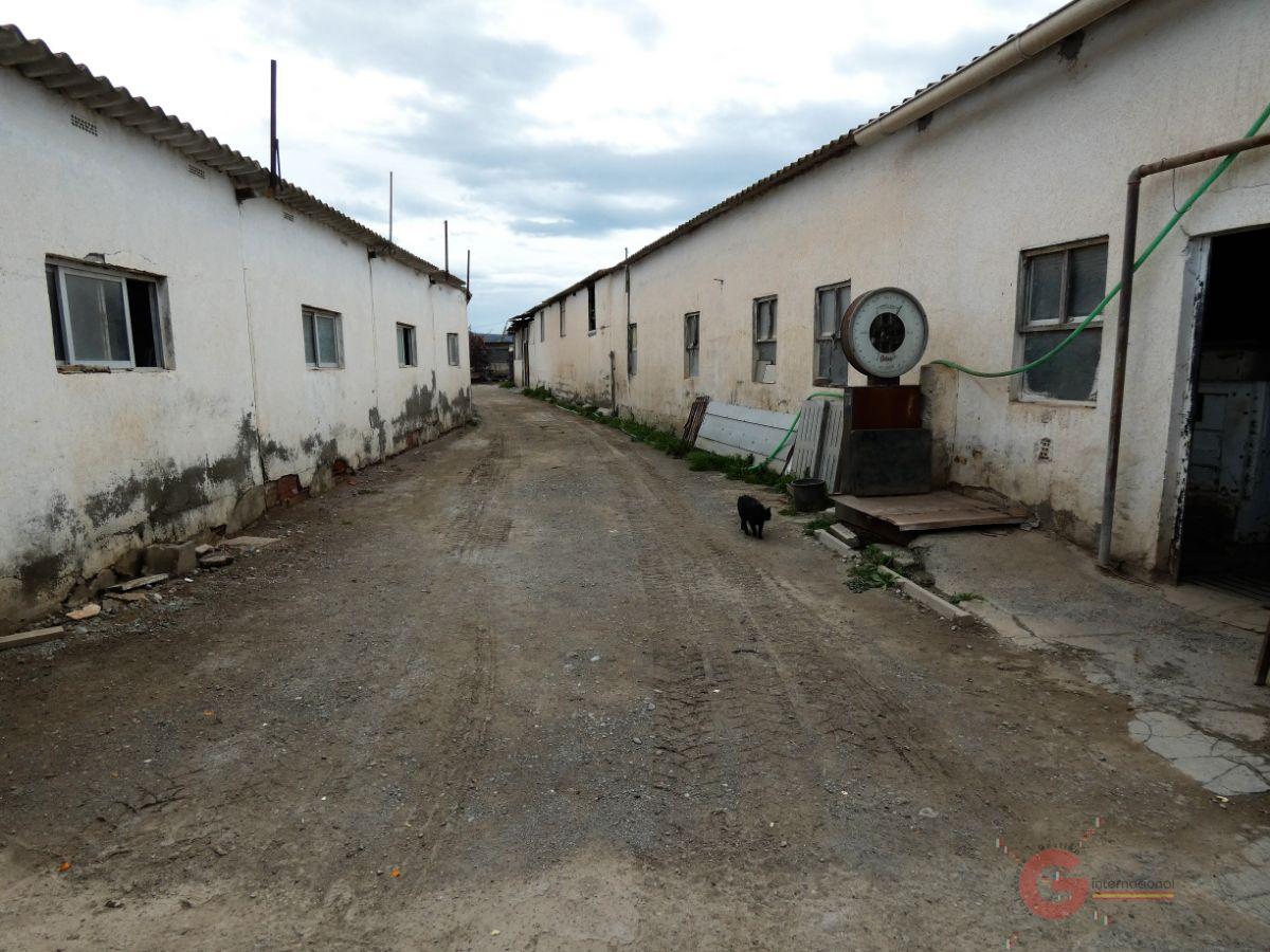Vente de propriété rurale dans Motril