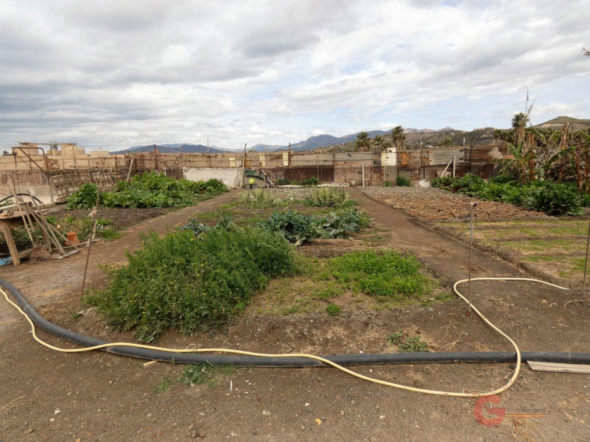 Vente de propriété rurale dans Motril