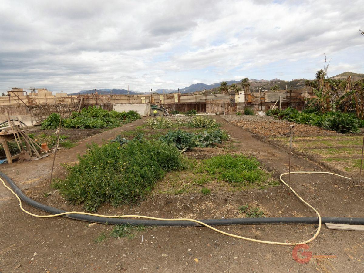 Venta de finca rústica en Motril