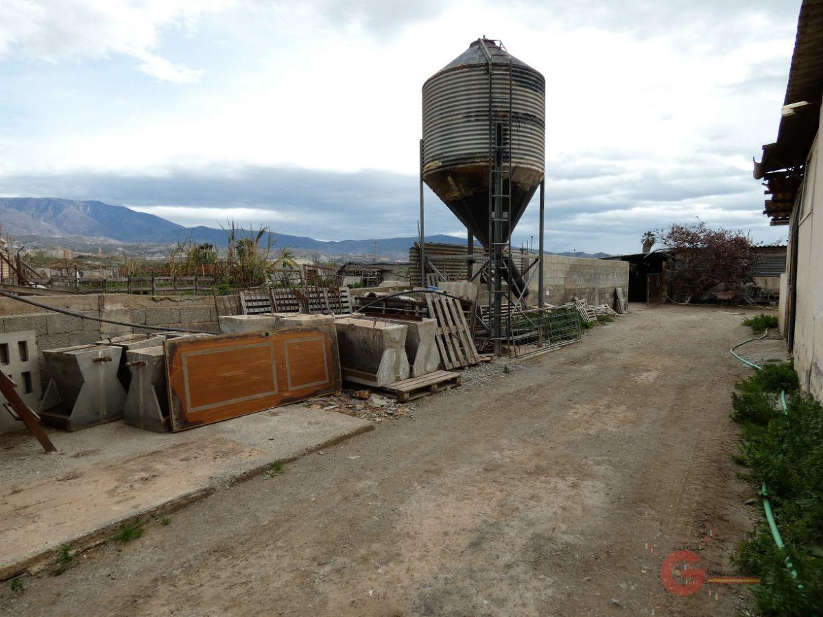 Venta de finca rústica en Motril