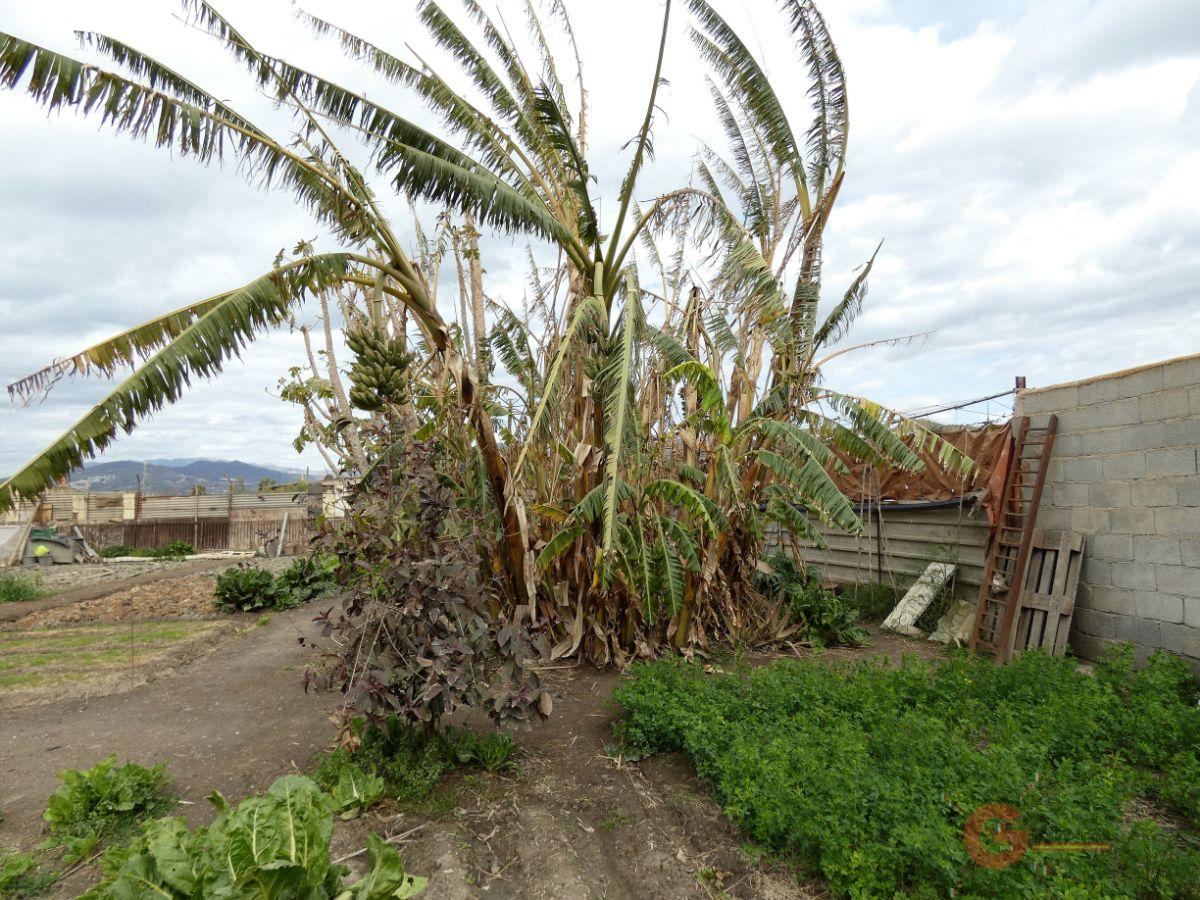 Vente de propriété rurale dans Motril