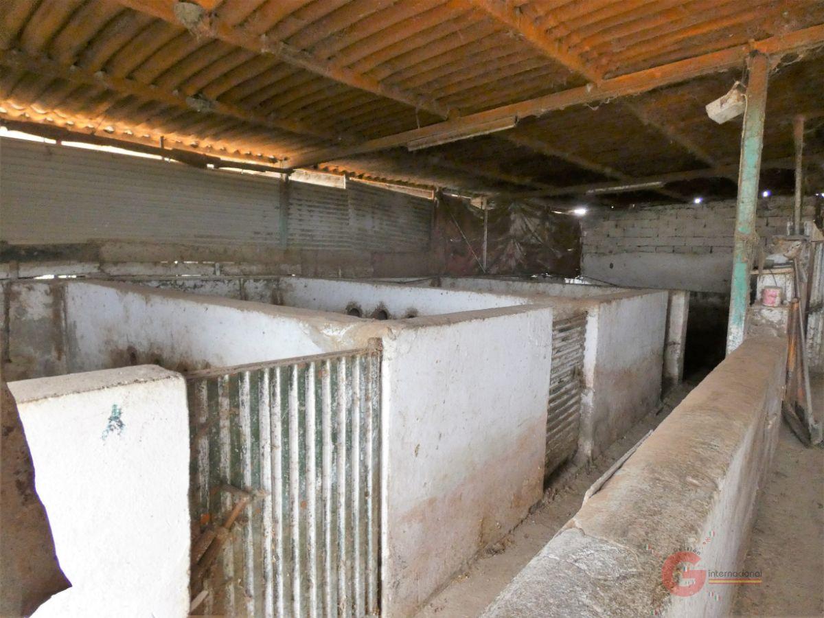 Vente de propriété rurale dans Motril
