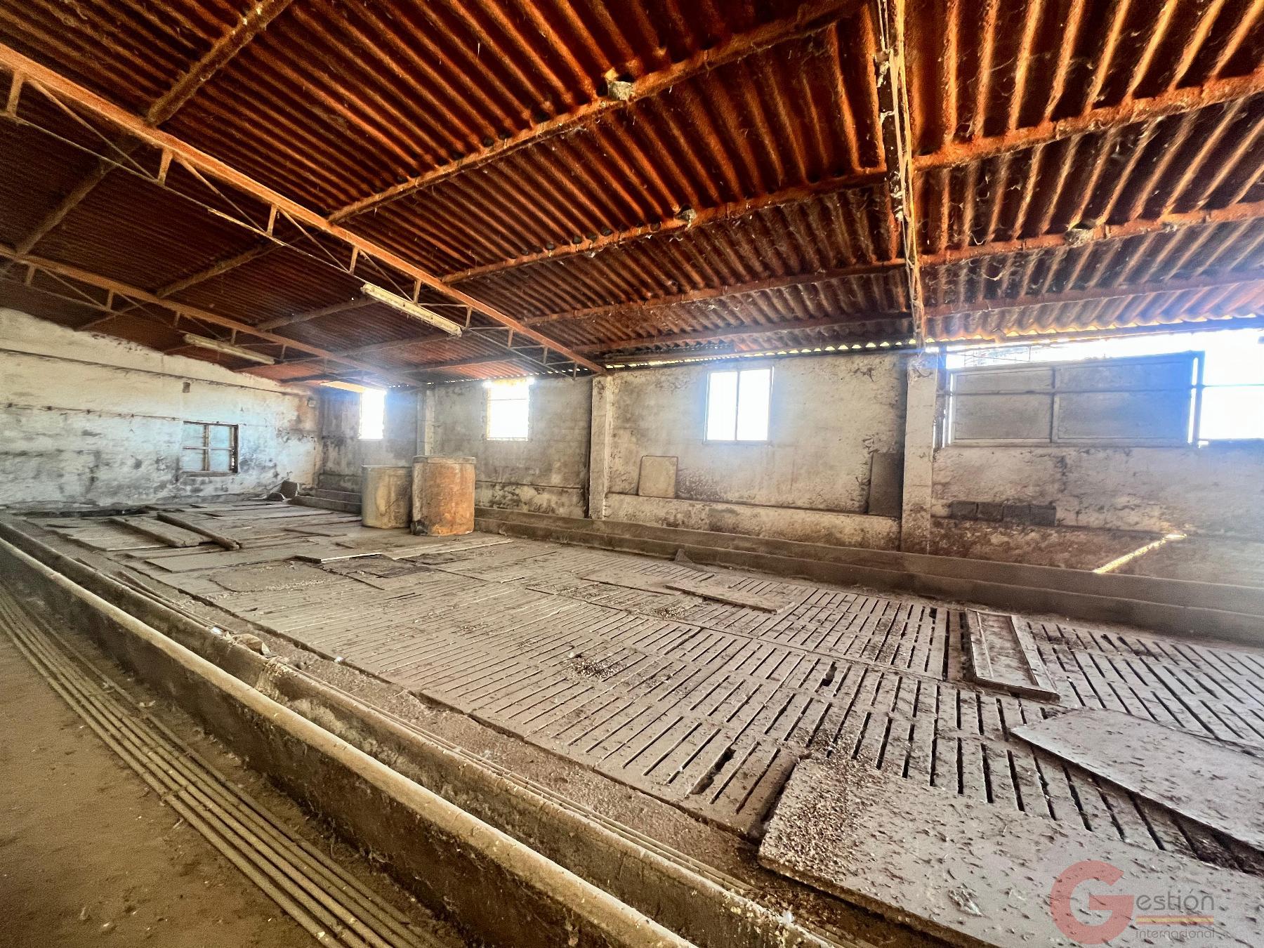 Venta de finca rústica en Motril