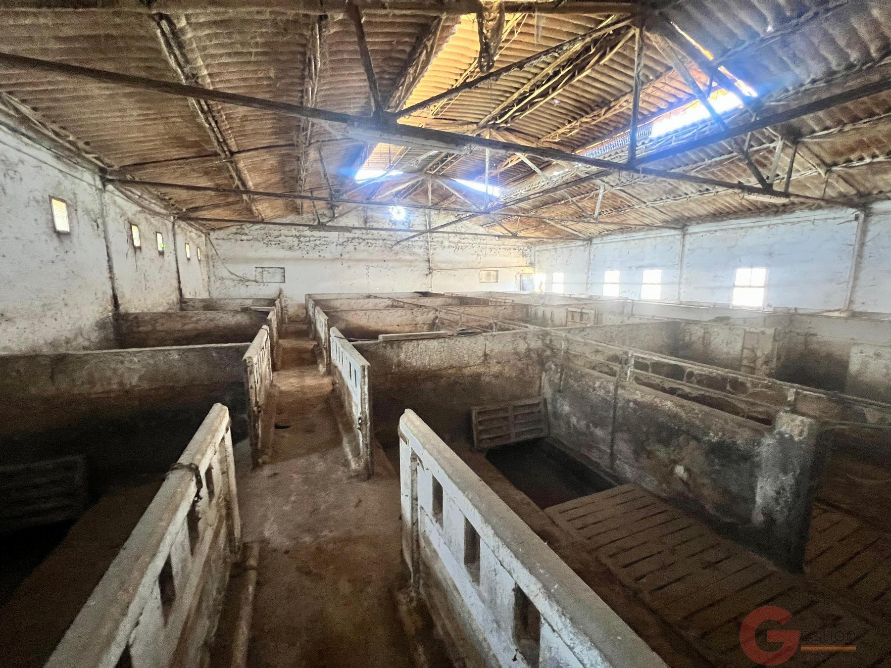 Venta de finca rústica en Motril