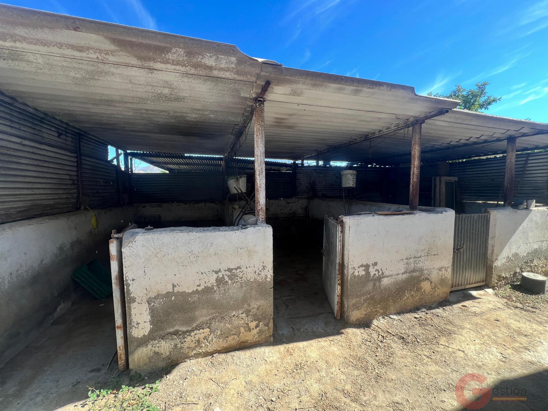 Venta de finca rústica en Motril