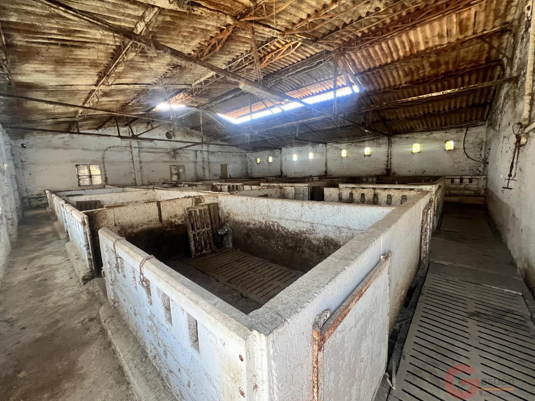 Venta de finca rústica en Motril