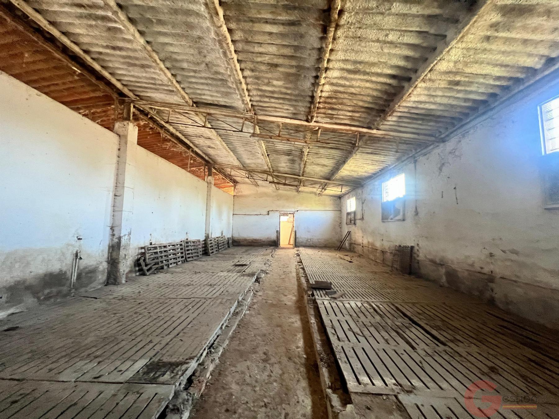 Venta de finca rústica en Motril