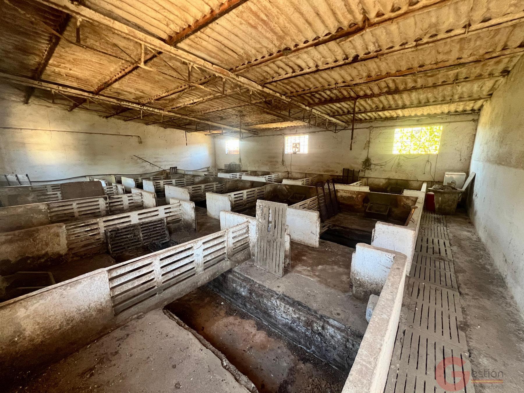 Venta de finca rústica en Motril