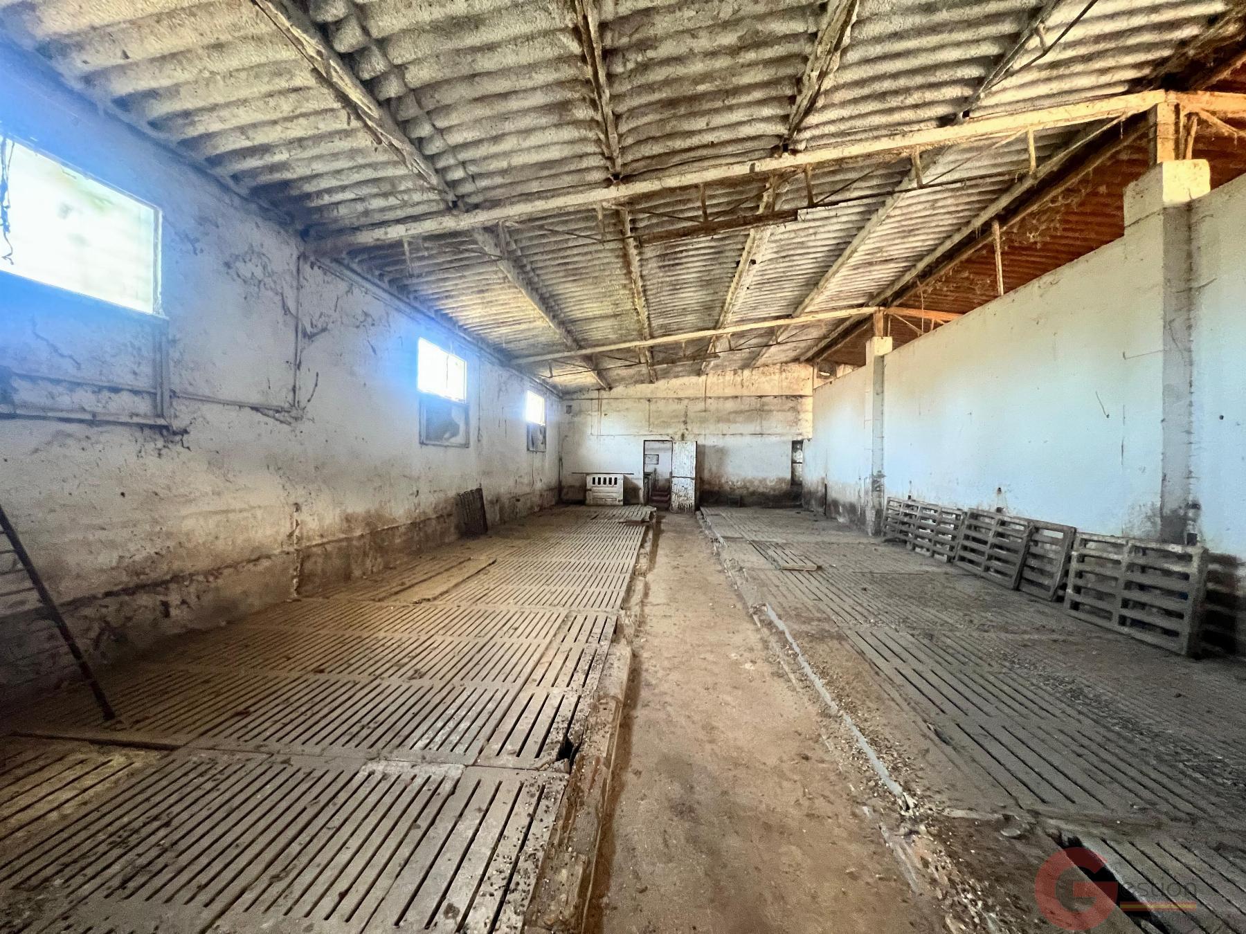Venta de finca rústica en Motril