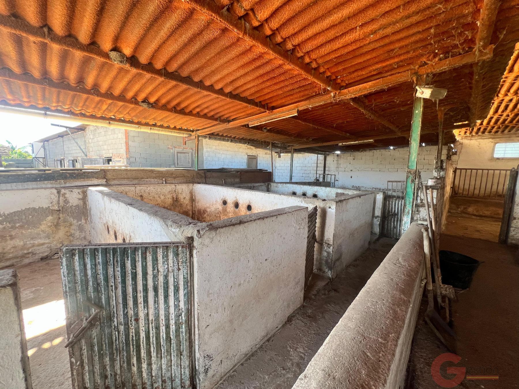 Venta de finca rústica en Motril