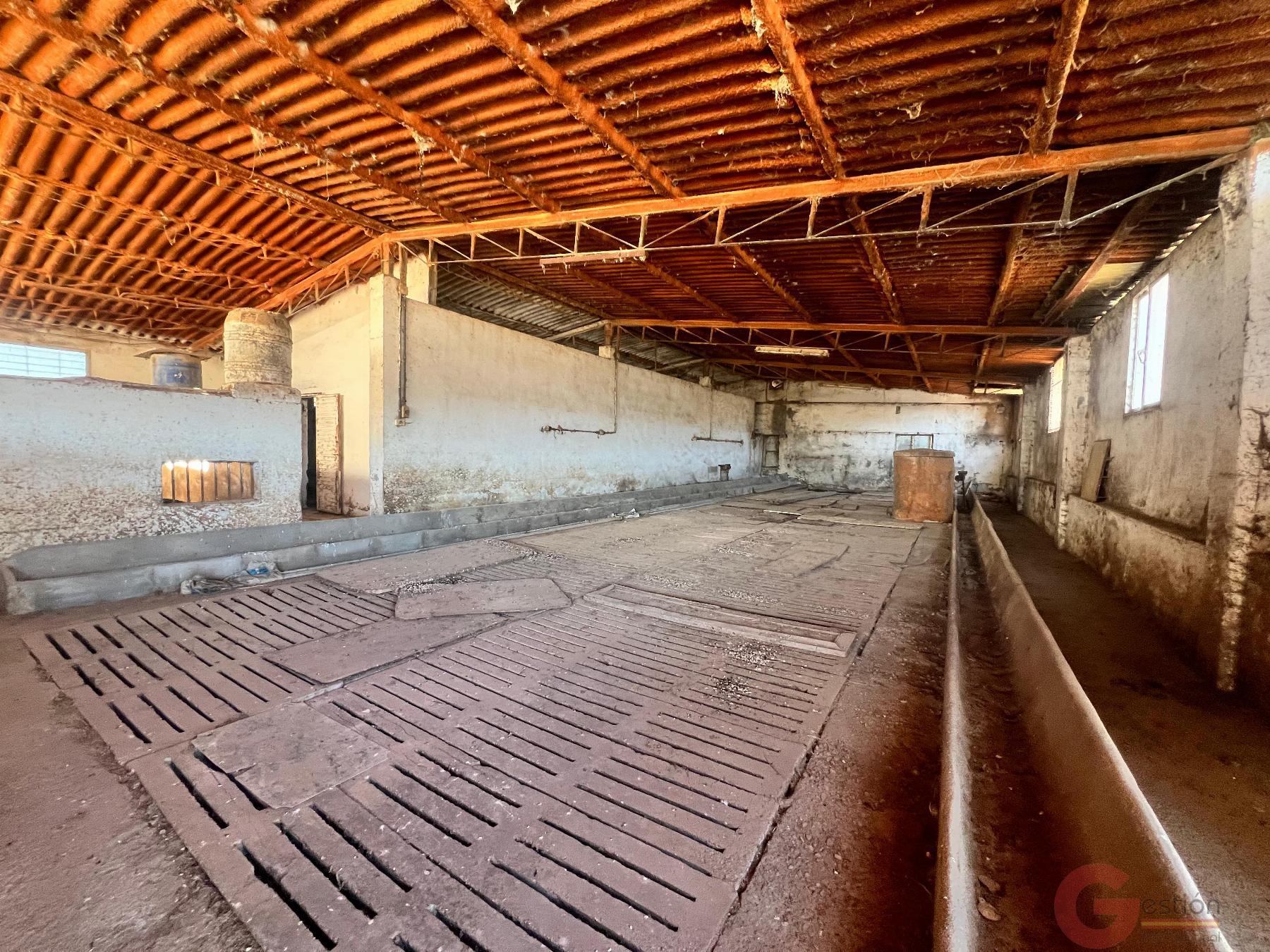 Venta de finca rústica en Motril
