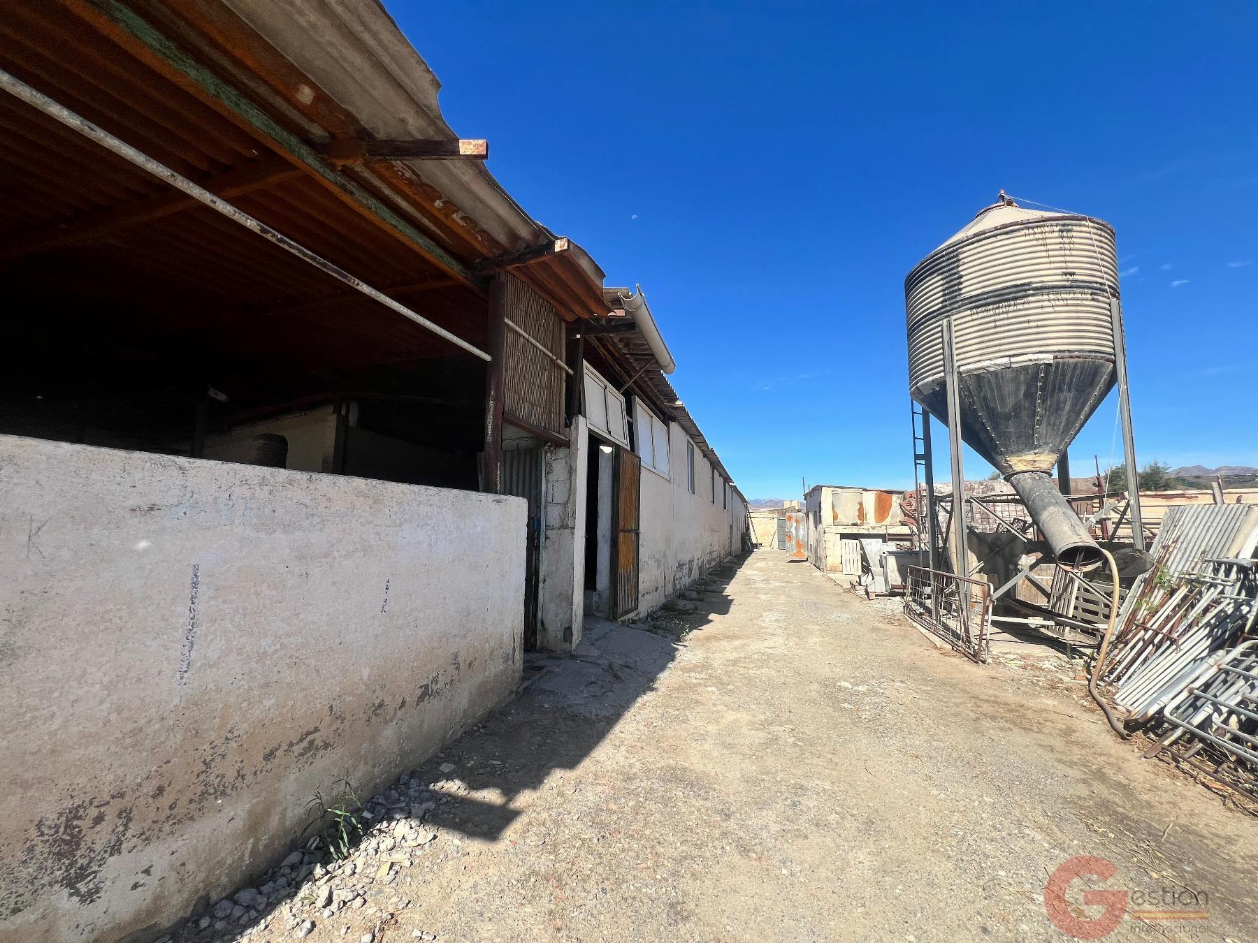 Venta de finca rústica en Motril