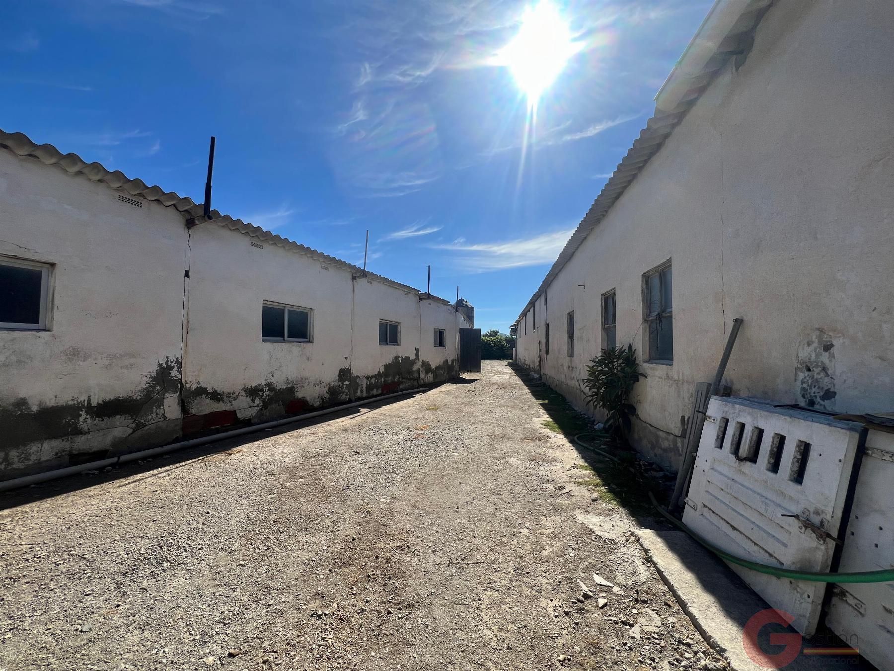 Venta de finca rústica en Motril Venta de finca rústica en Motril