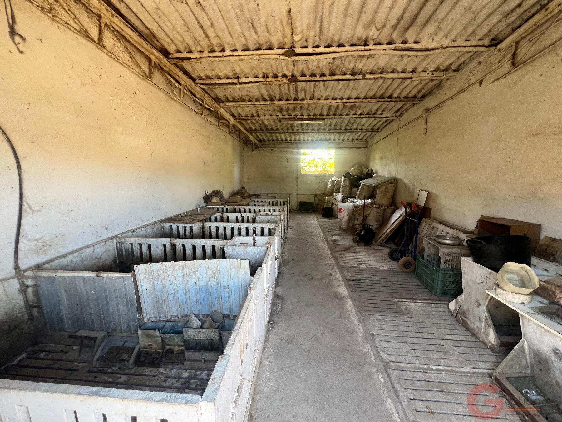 Venta de finca rústica en Motril