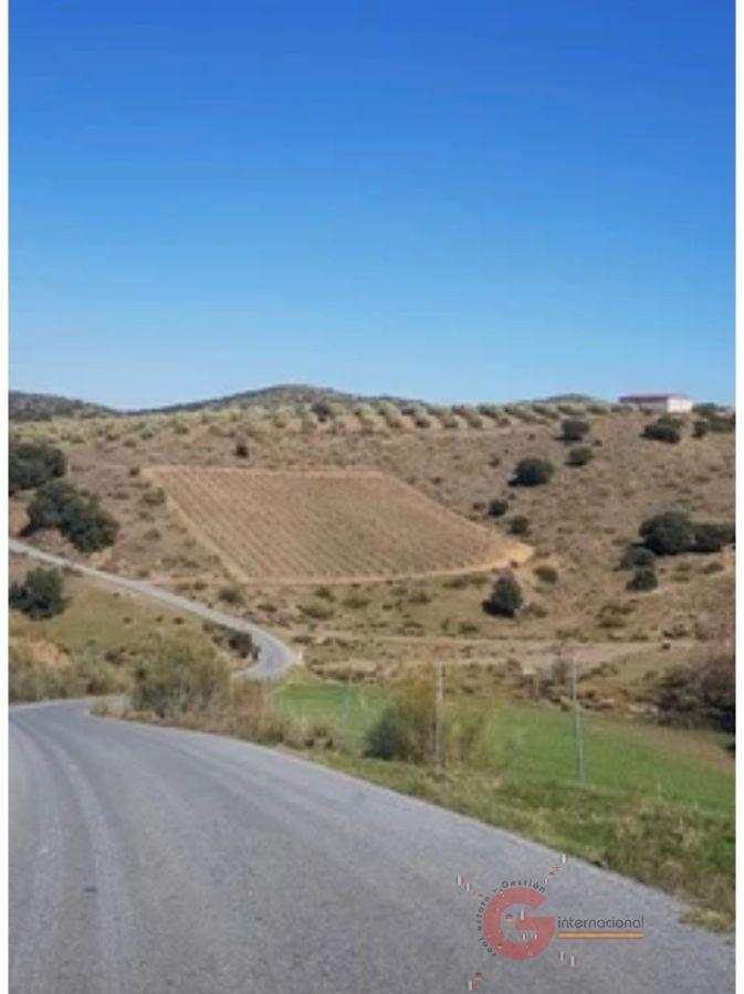 For sale of rural property in Lugros