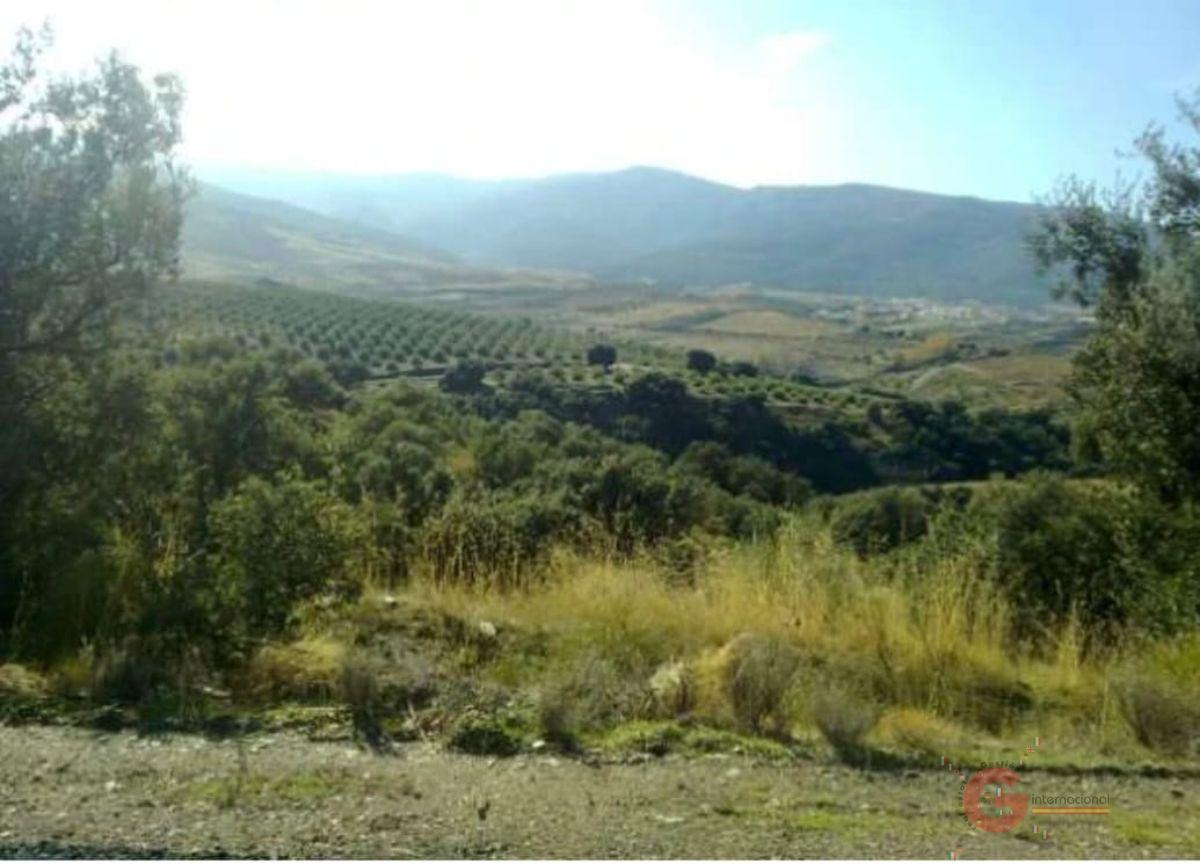 For sale of rural property in Lugros