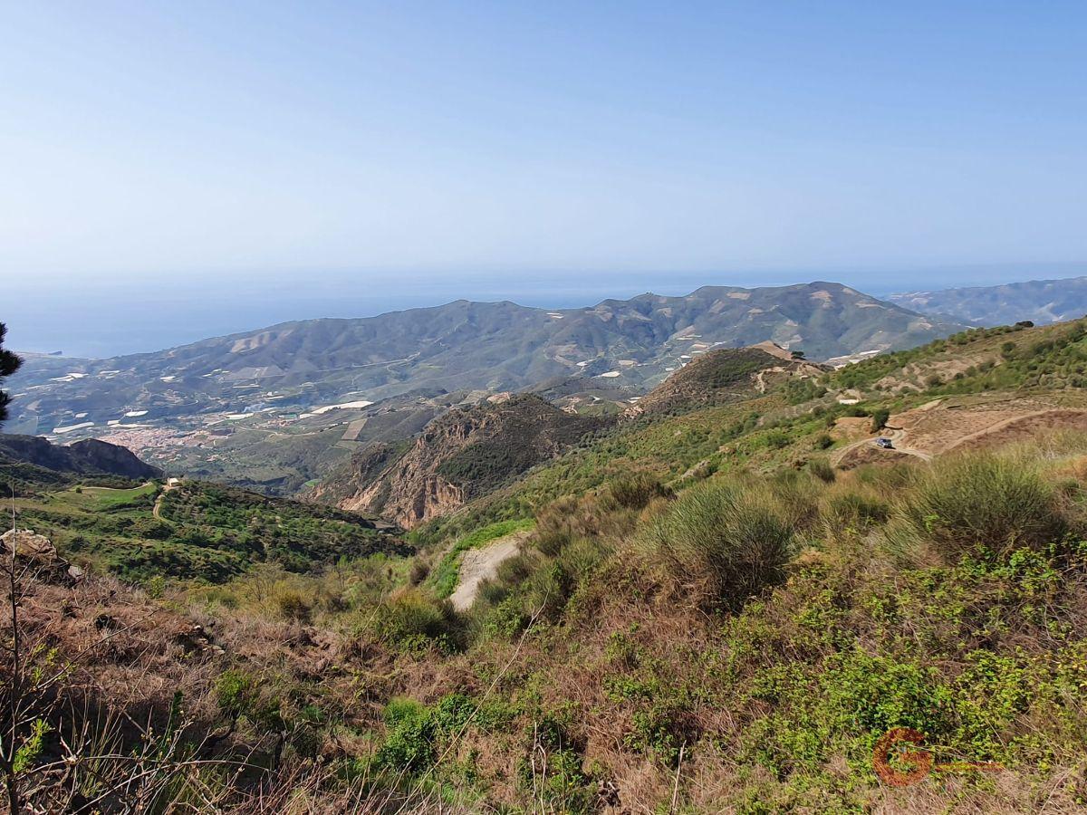 For sale of rural property in Molvízar