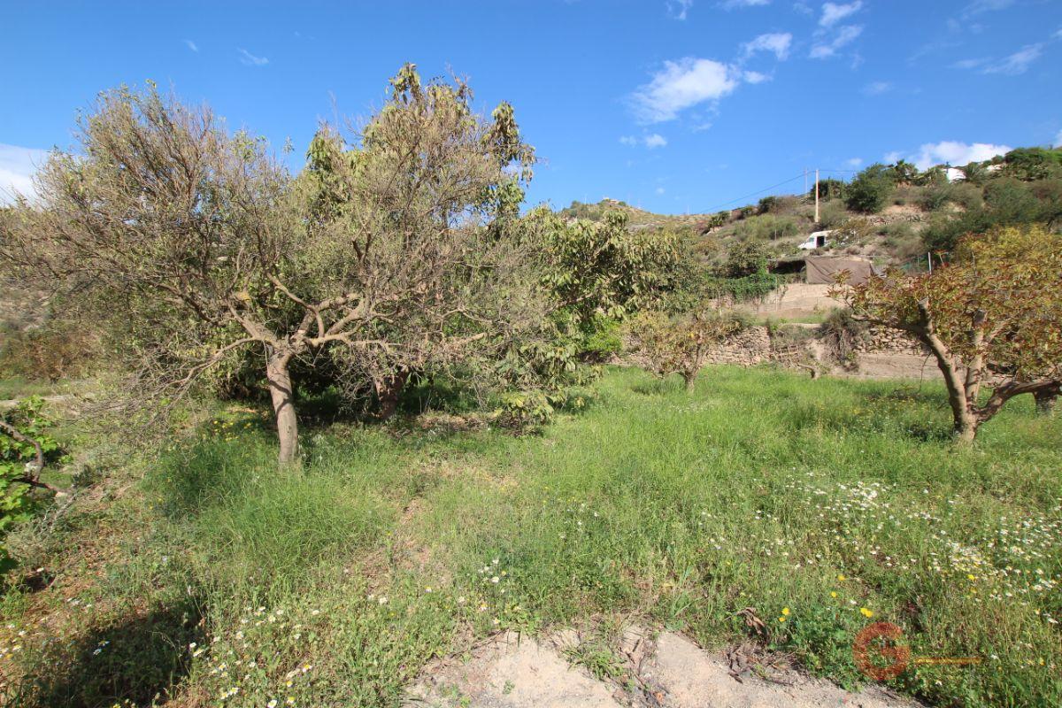 For sale of land in Vélez de Benaudalla