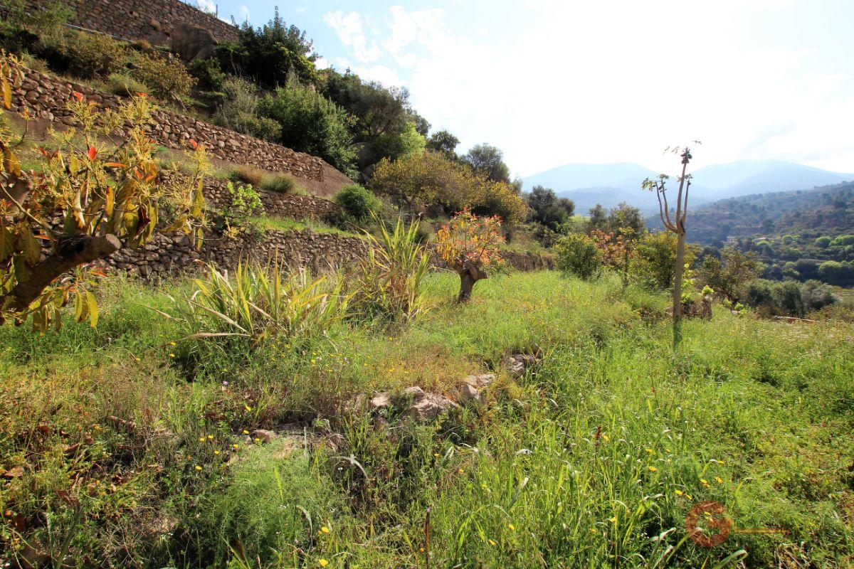 For sale of land in Vélez de Benaudalla